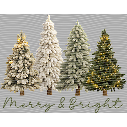 Christmas-ADJ 11923